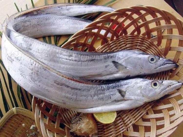 特大号新鲜带鱼,新鲜带鱼哪里买