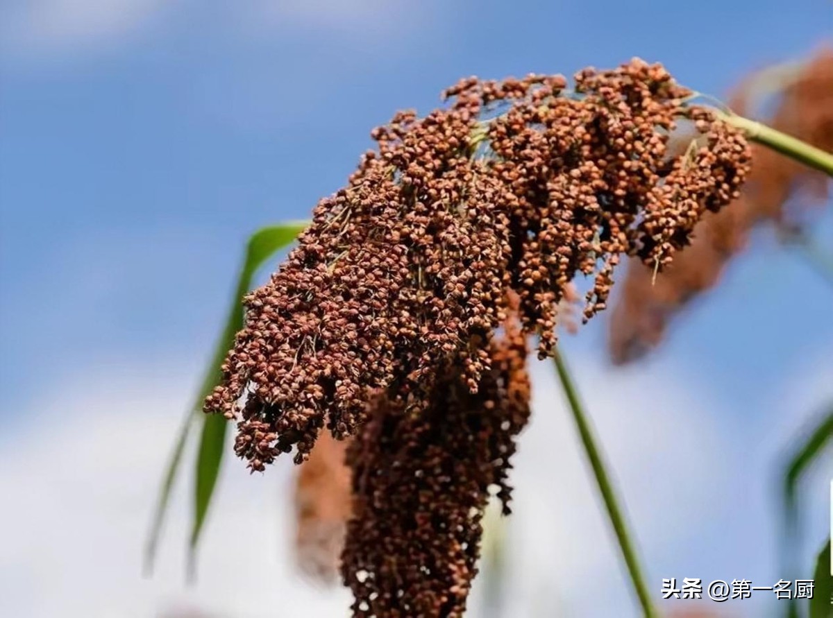 洋河酒天之蓝海之蓝梦之蓝哪个好,洋河酒梦之蓝和海之蓝天之蓝区别