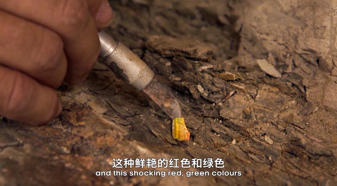 2022年十大必看大片,2022年最震撼视频