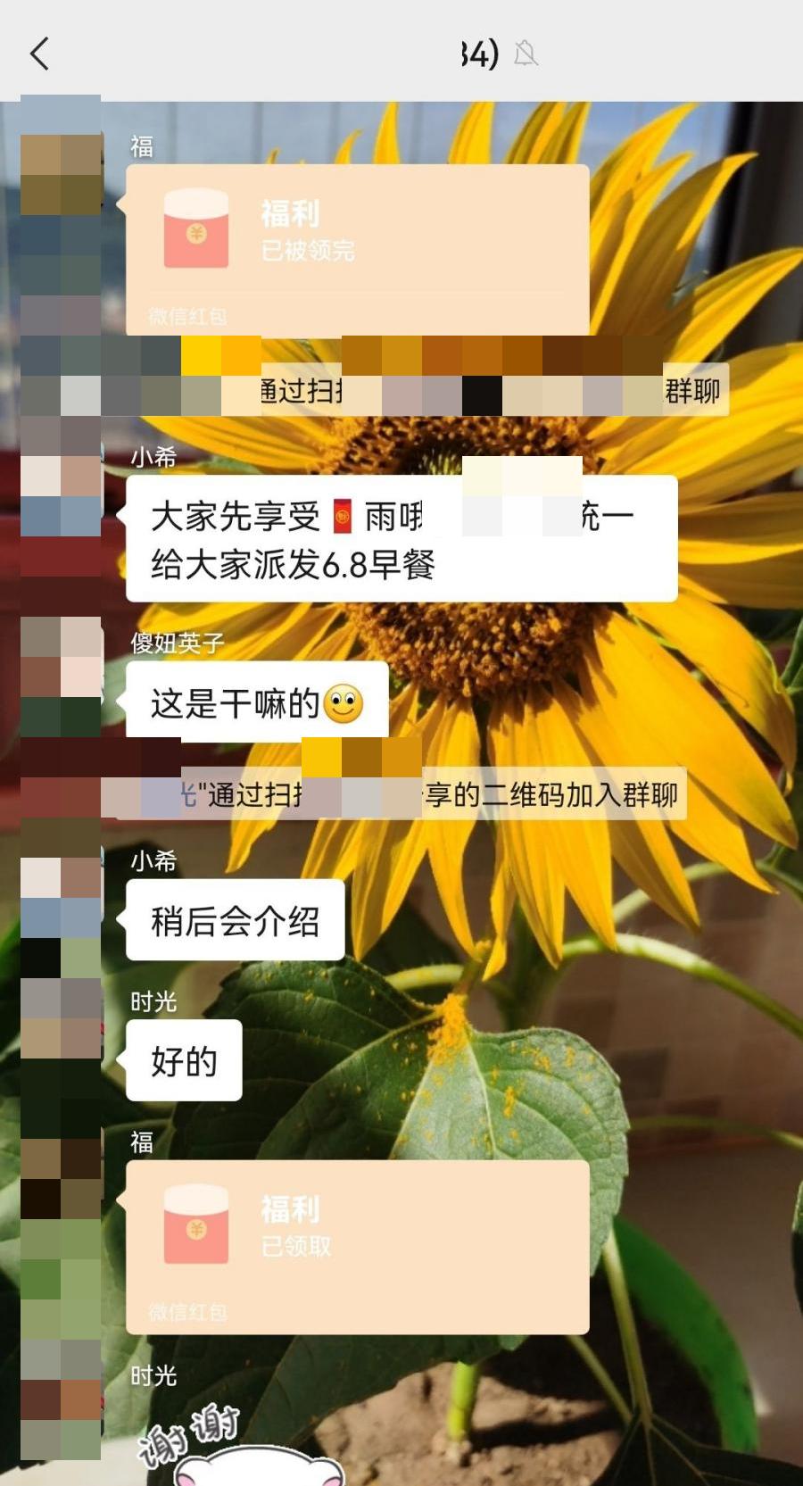 冀网同心全民反诈,冀网同心全民反诈小视频