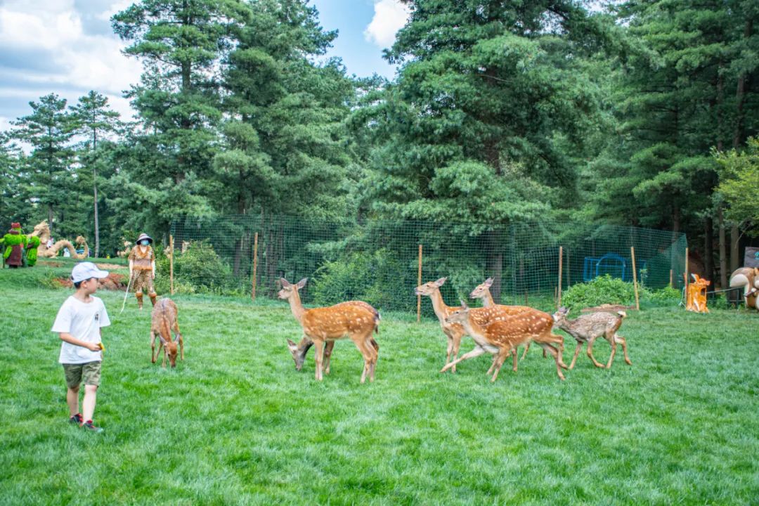 昆明国庆周边游露营,昆明春游露营的地方
