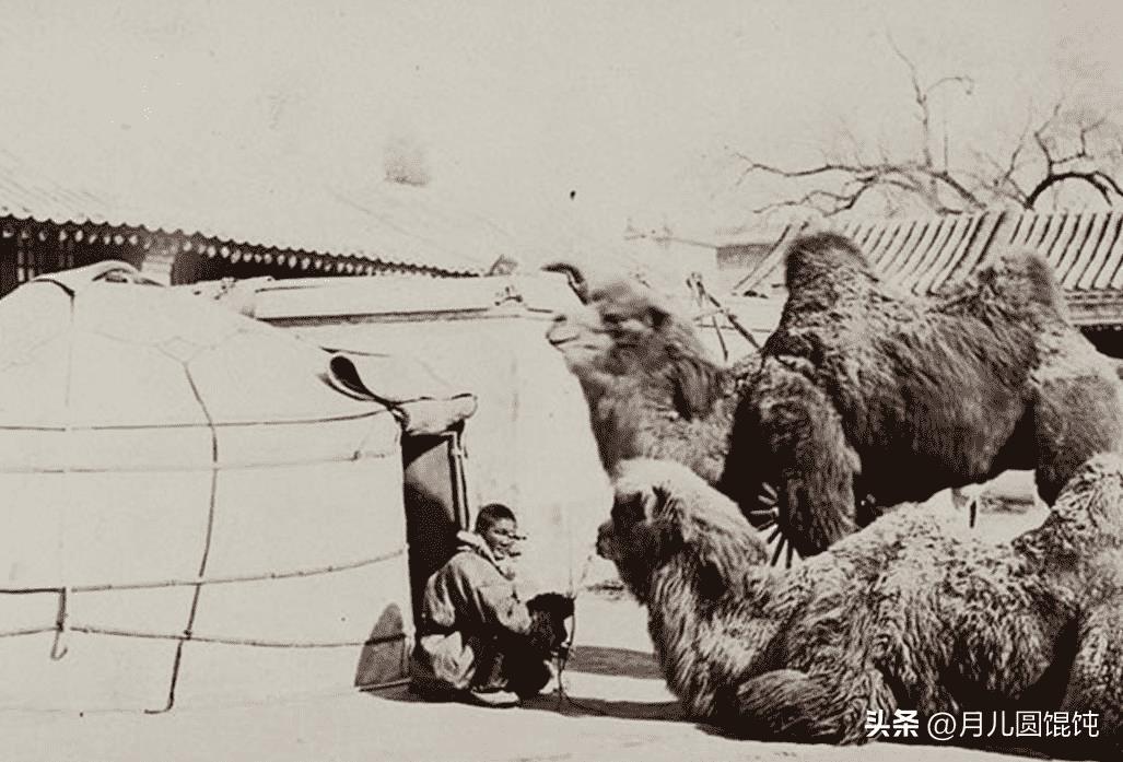 变态纳粹,纳粹德国屠杀犹太女人