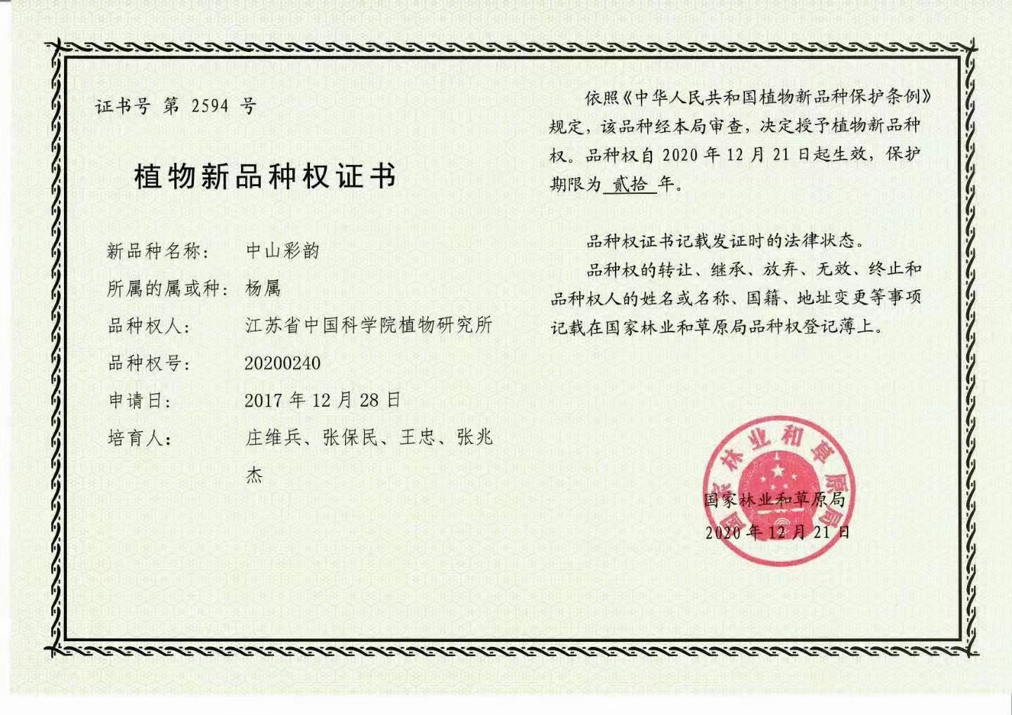 东方彩韵,东方彩韵10公分图片