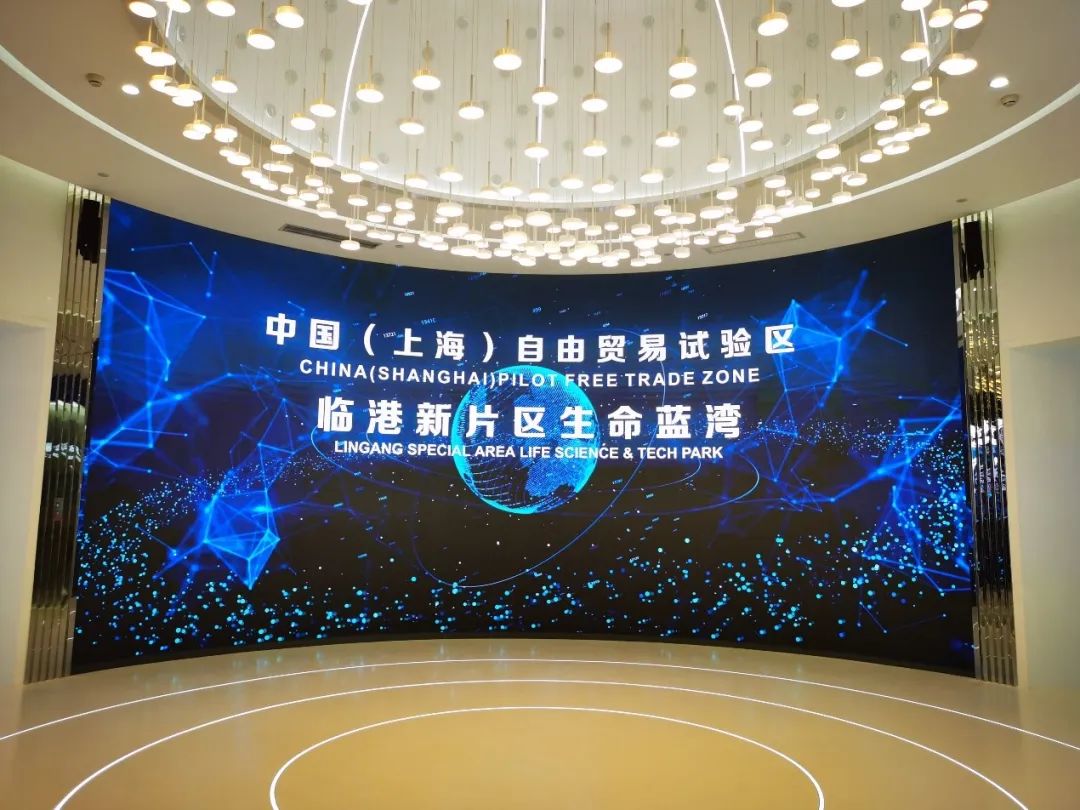 奉贤海湾镇的发展,奉贤海湾镇最新发展