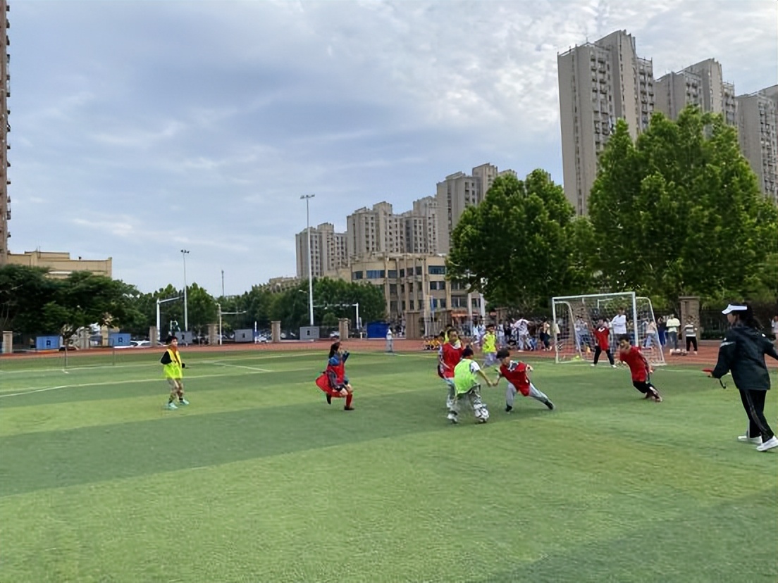 安徽合肥市包河区金葡萄小学,合肥市金葡萄小学