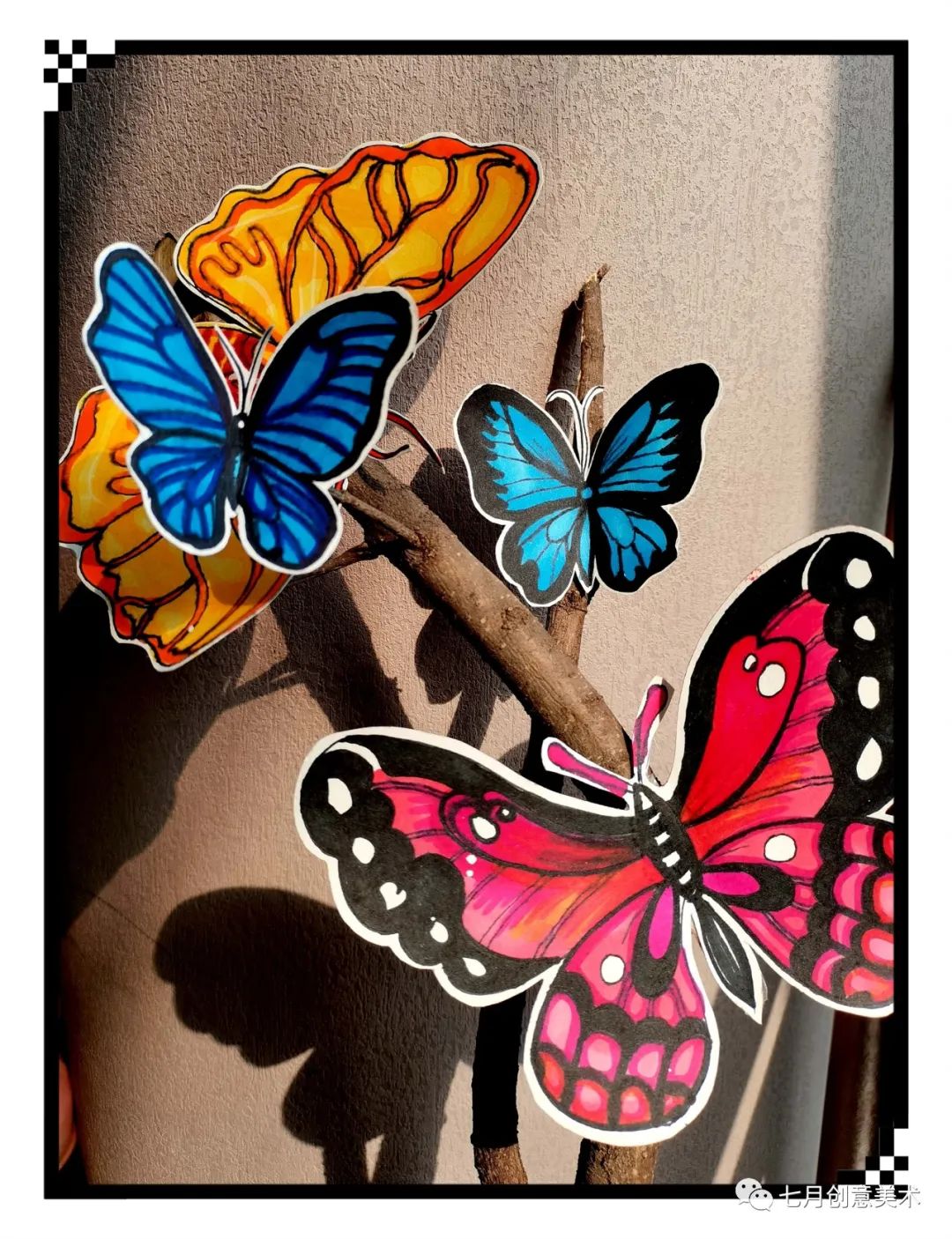 蝴蝶标本图片大全,塑封蝴蝶标本方法