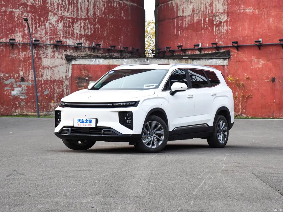 睿蓝9和蓝电怎么选,睿蓝9是不是7座