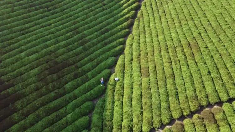 藏于山林间的民宿,安吉十家最美民宿