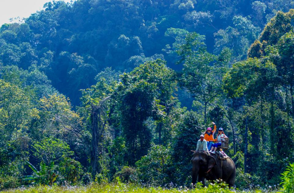 西双版纳风景优美的康养公寓,西双版纳民宿万达片区