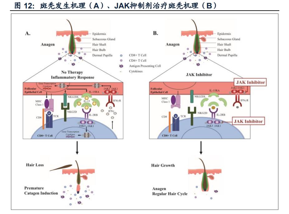 泽璟制药的新药审批进展,泽璟制药投资价值分析