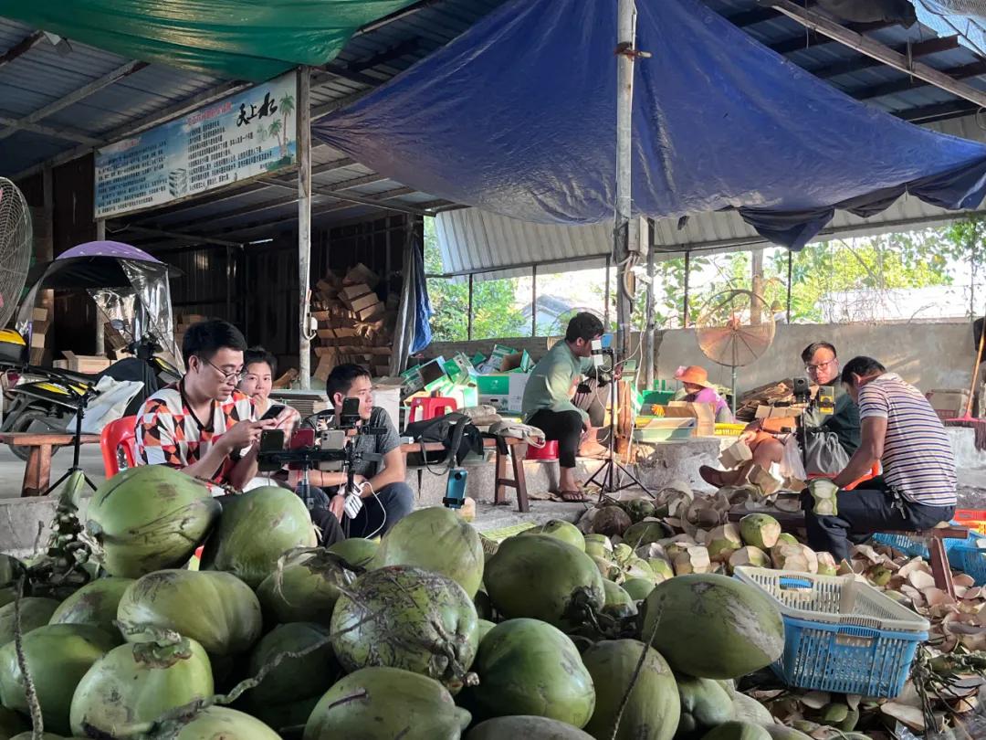 去海南岛品尝当地的椰子,椰子探房
