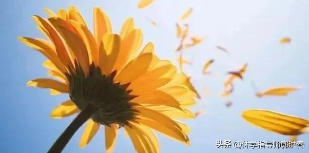 孩子休学厌学抑郁怎么办,渭南孩子厌学休学如何管教