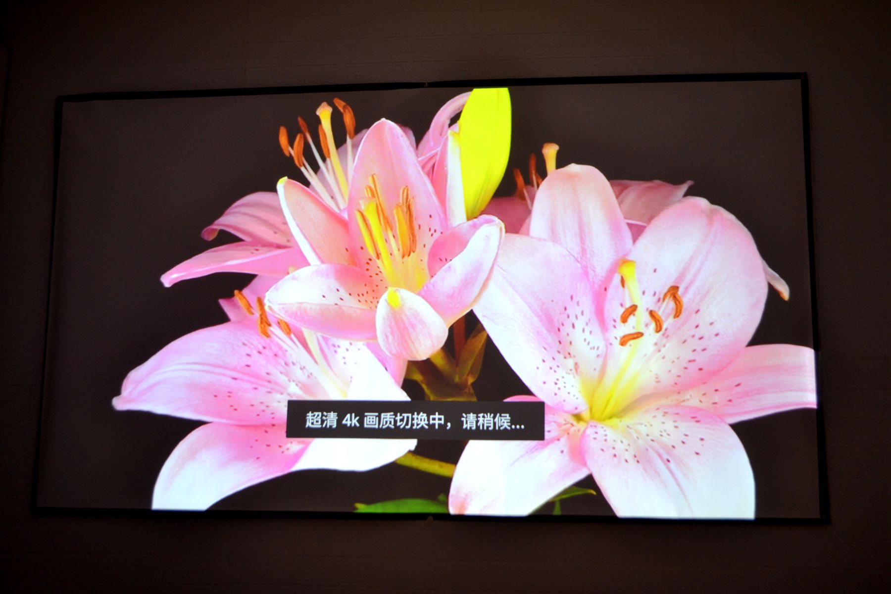 当贝x5投影500寸效果,当贝x5ultra4k投影仪测评