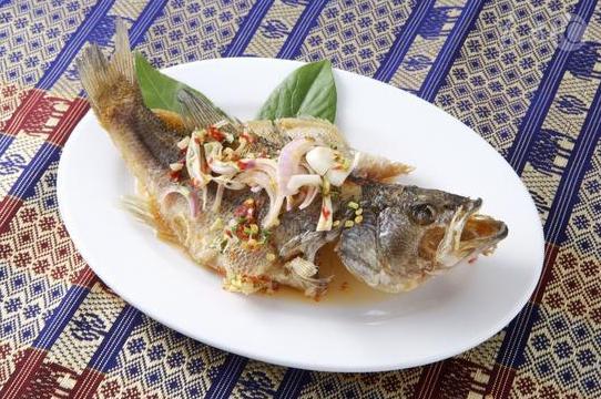 多吃鱼眼真的能让人的视力变好吗,吃鱼眼睛真的能补眼吗