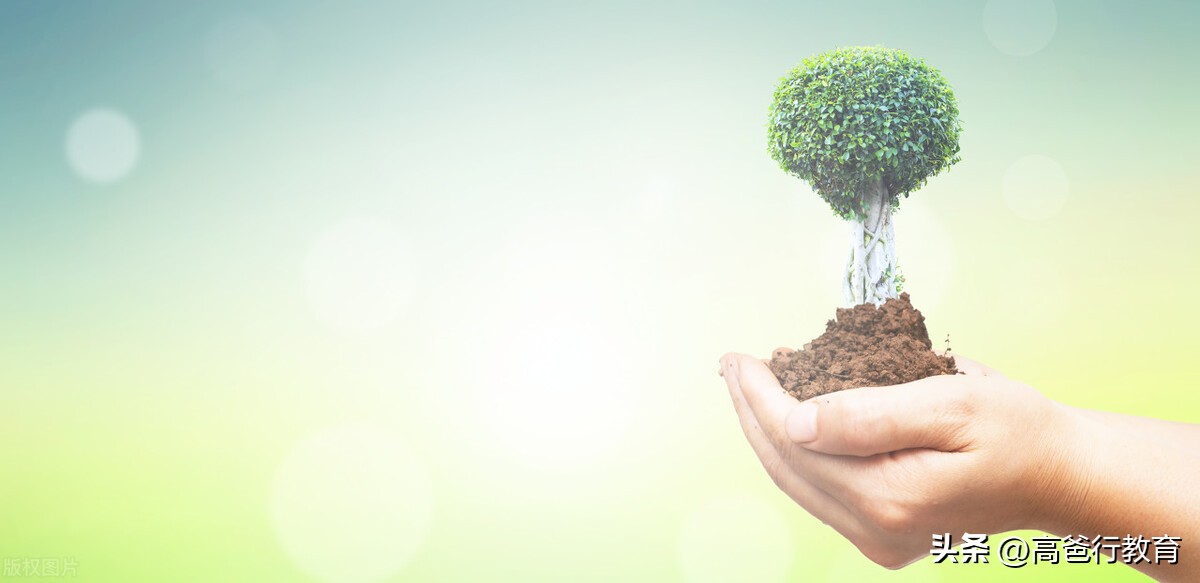 如果意识不到语文的变形功能，我们的目标就难以回到现实当中