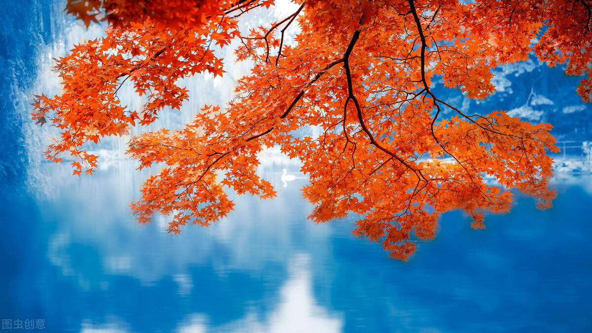 小故事大道理100个励志小故事,经典的励志小故事大道理大全