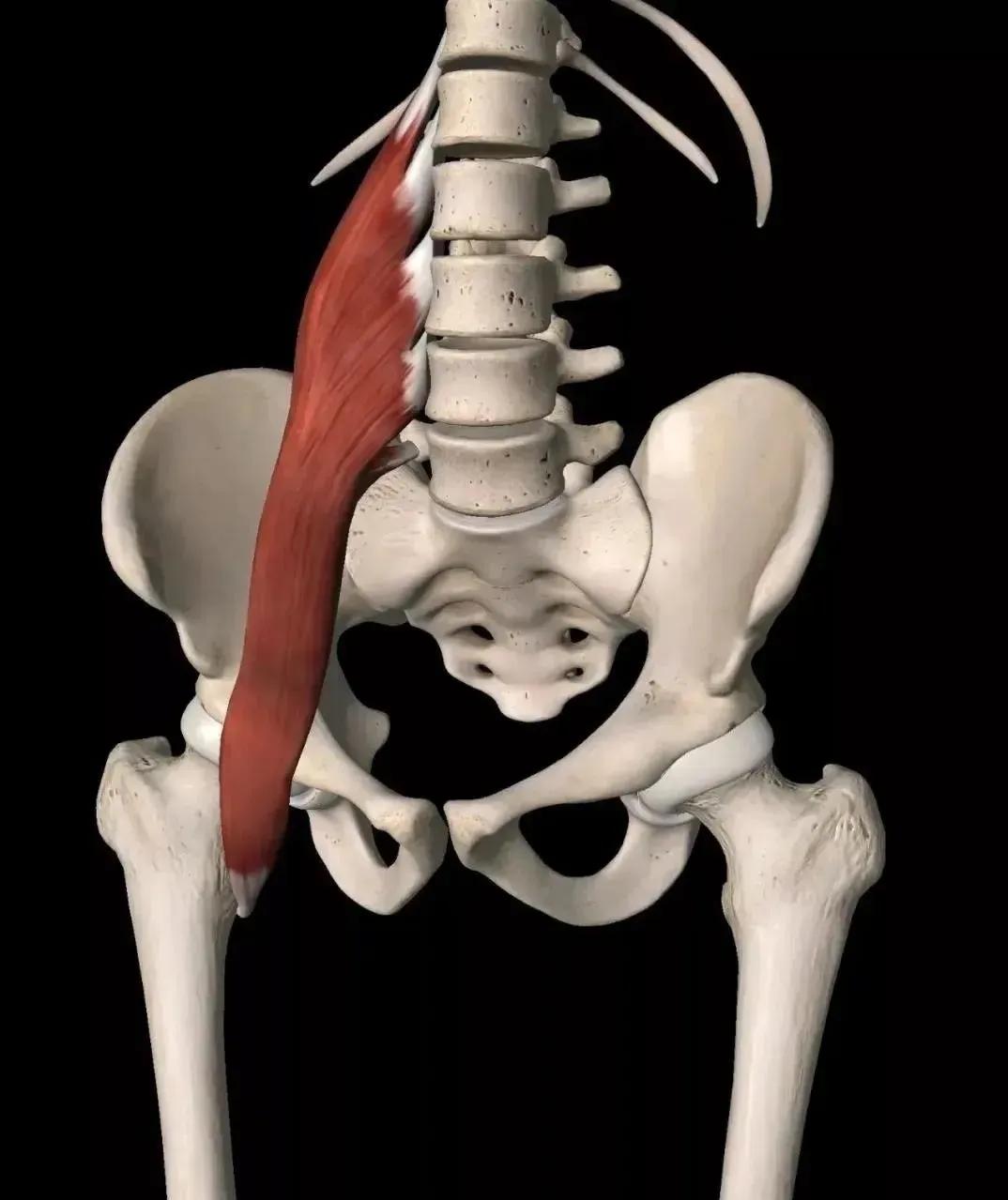 练腹肌时腰部酸痛,练腹部腰部酸痛