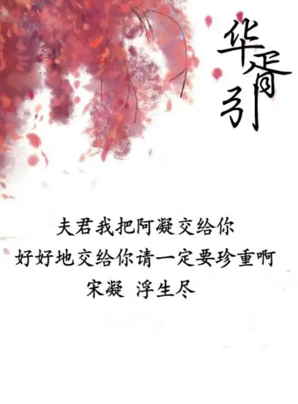 华胥引古琴,华胥引片段