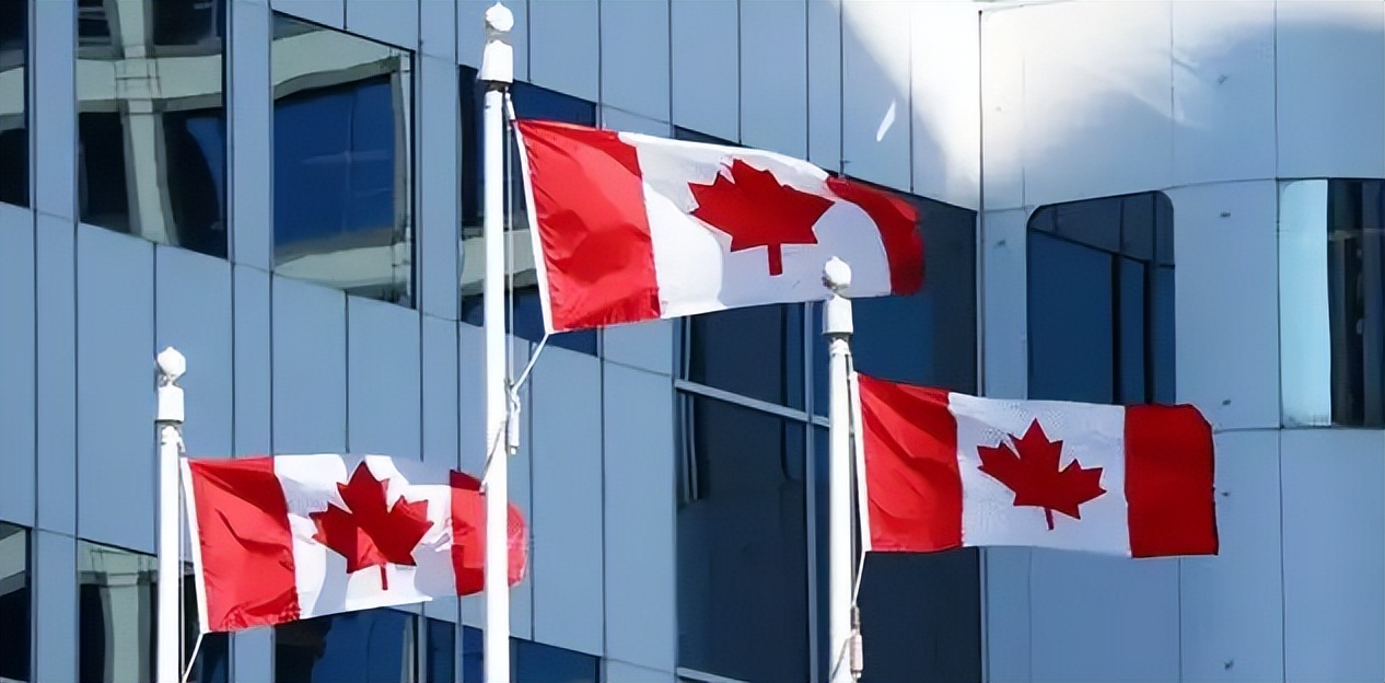 加拿大驱赶三家中国矿企？这次反击会让它输光身家