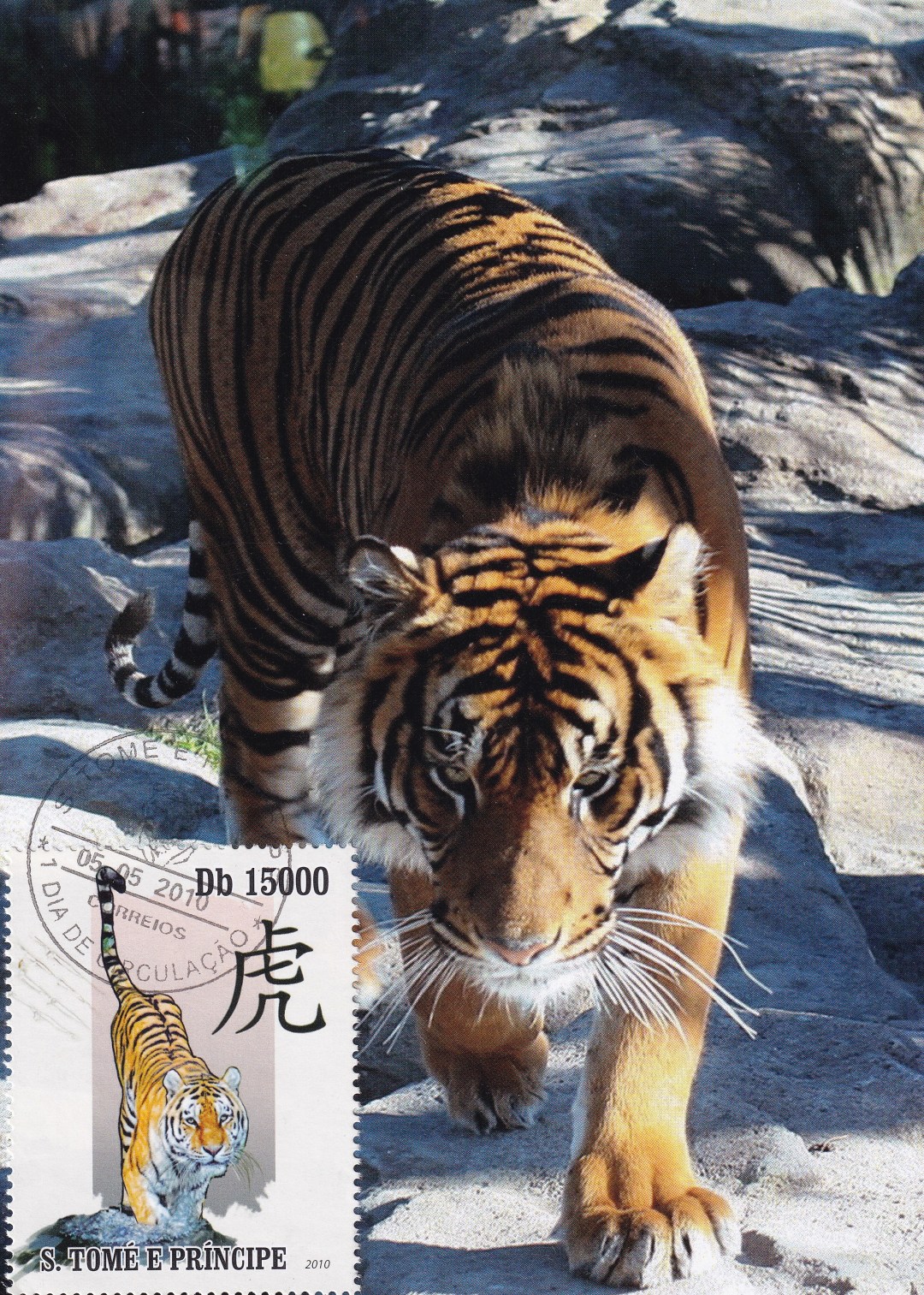 壬寅年虎首银章,壬寅年生肖虎每月运势详解