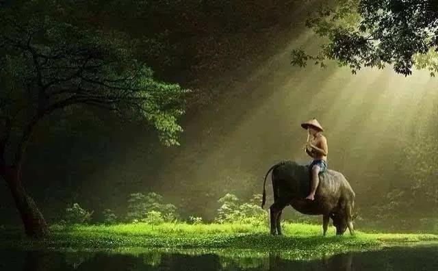 马祖岩赣州攻略,游玩马祖岩感受