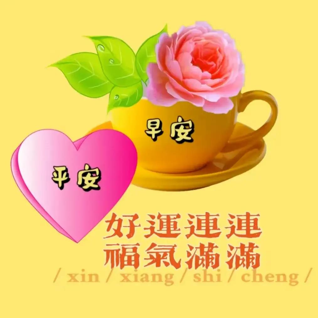 庚子日柱2023年癸卯年运势,癸卯年2023年哪个月出生最好