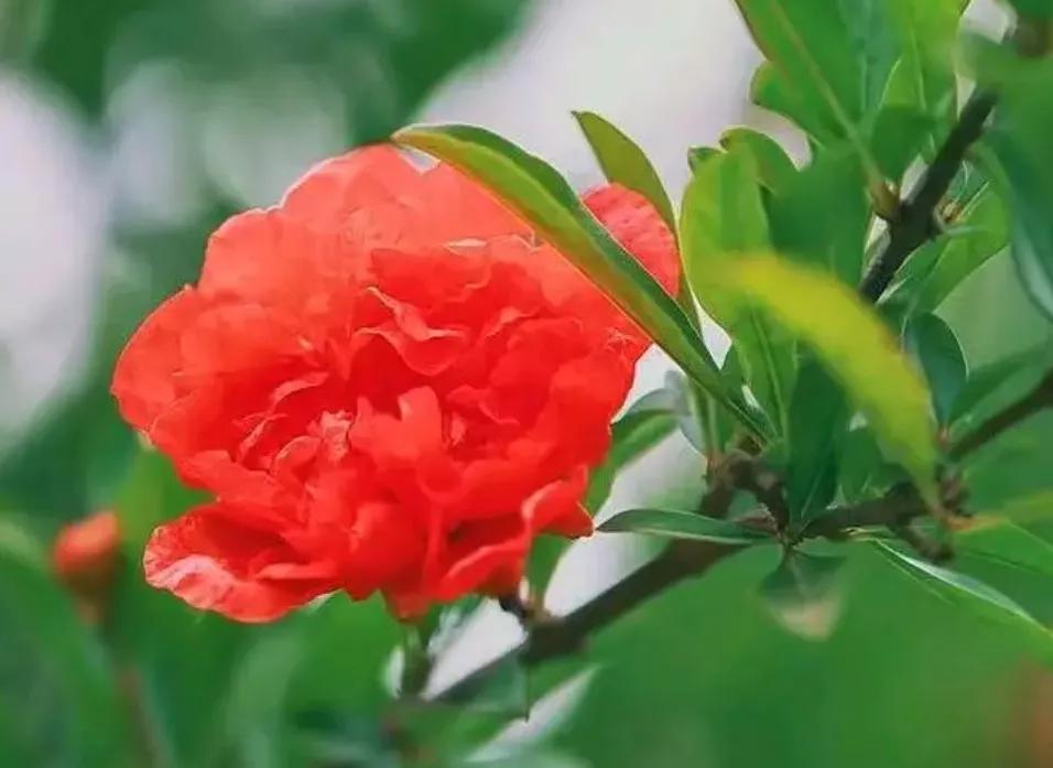 看了2022年平均工资，才知道最吃香的就业专业是哪些