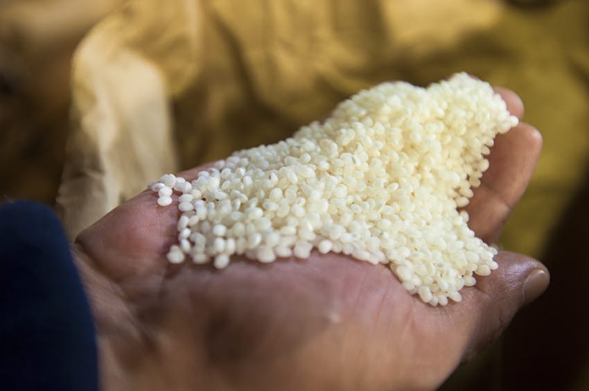 日本清酒品尝视频,日本高端清酒品鉴视频