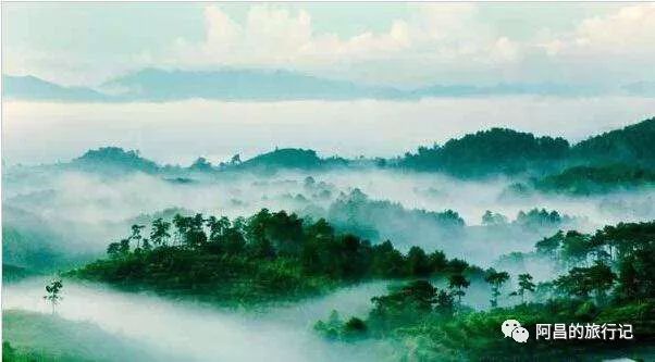 广西十万大山国家森林公园,广西十万大山国家森林公园图片