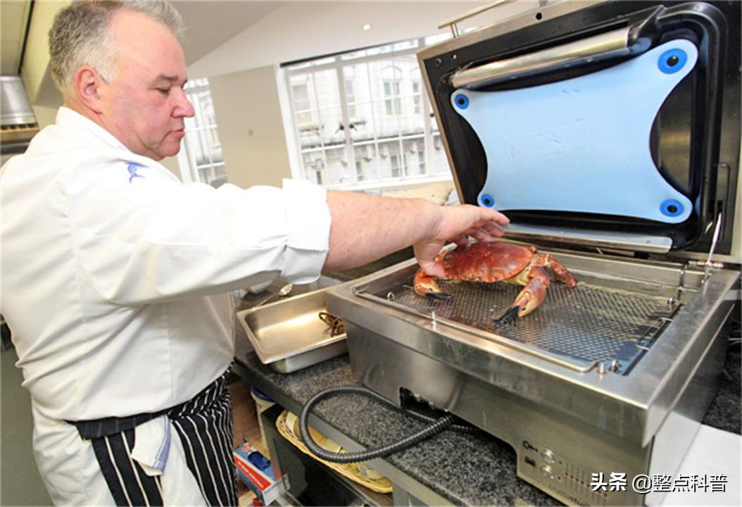 活螃蟹直接煮会痛苦吗,煮螃蟹是不是太残忍了