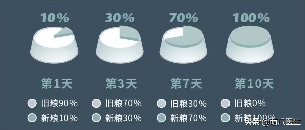 禽流感影响猫粮吗,猫粮禽流感