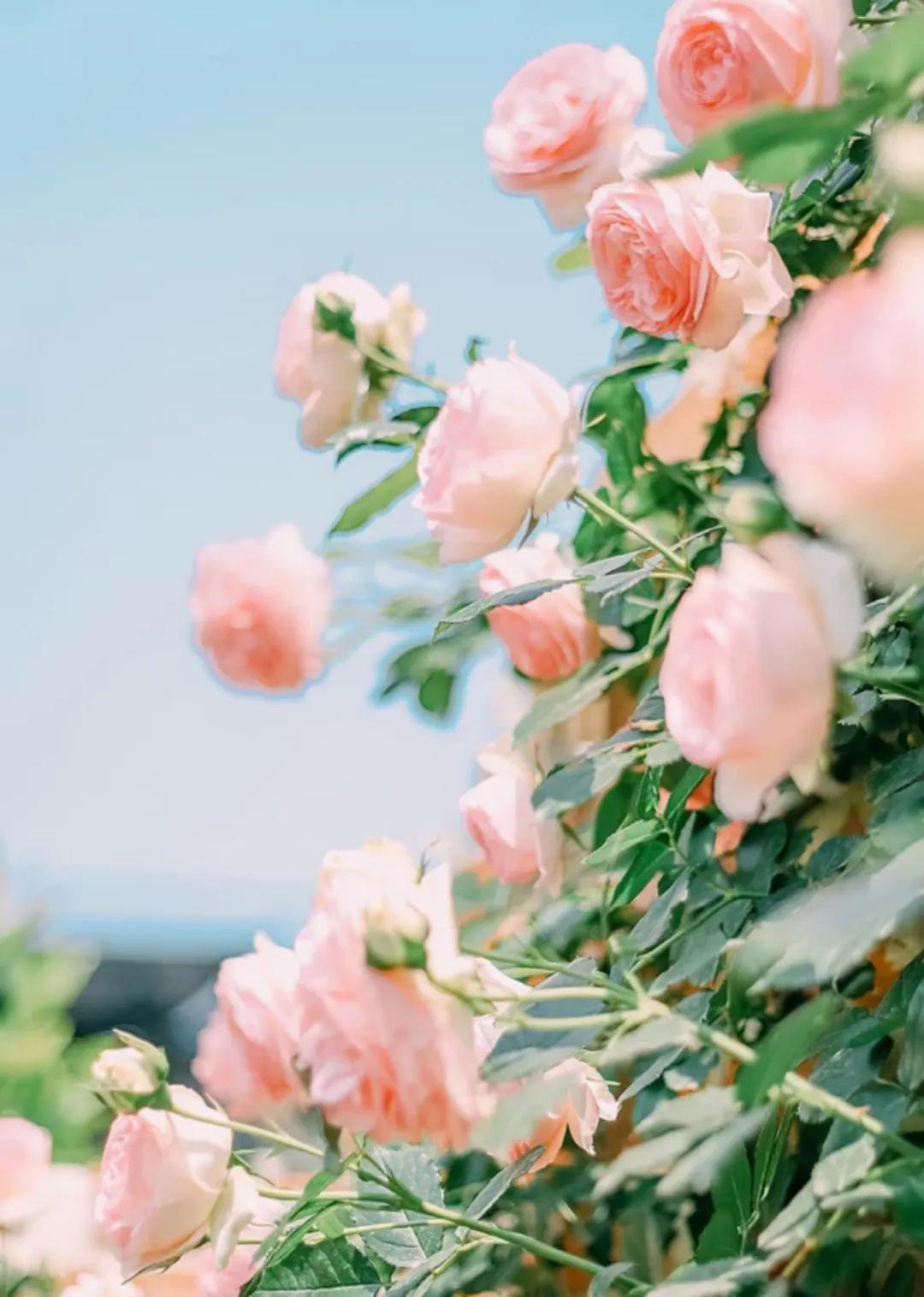 少言寡语的人怎么变得有话说,如何和少言寡语的人社交