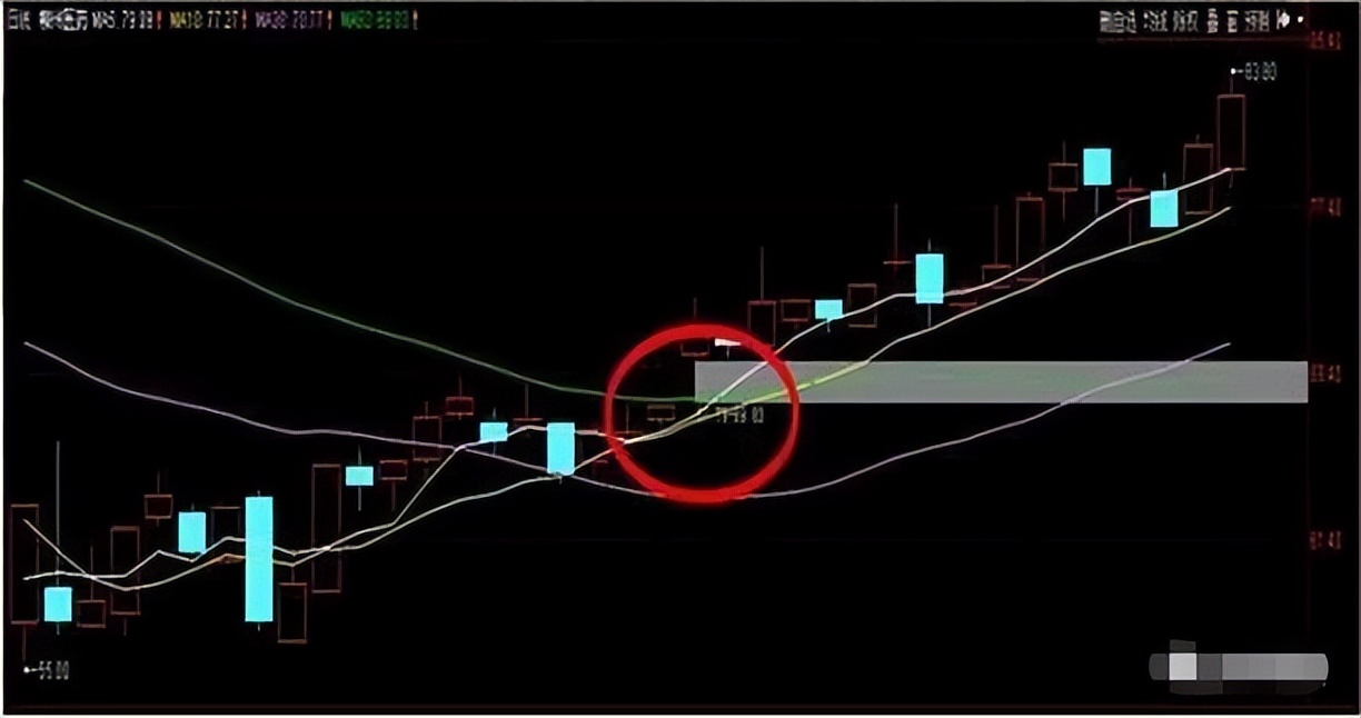 一位炒股高手谈趋势理念,一位炒股高手谈股票的规律