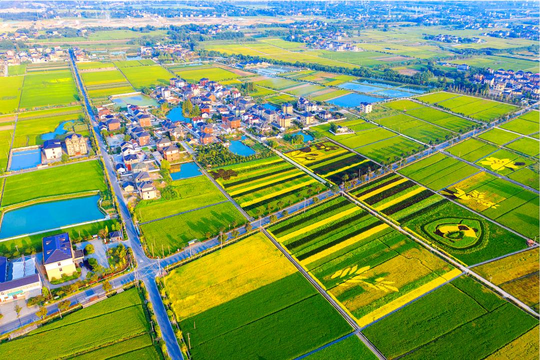 整村运营,整村运营顶层策划