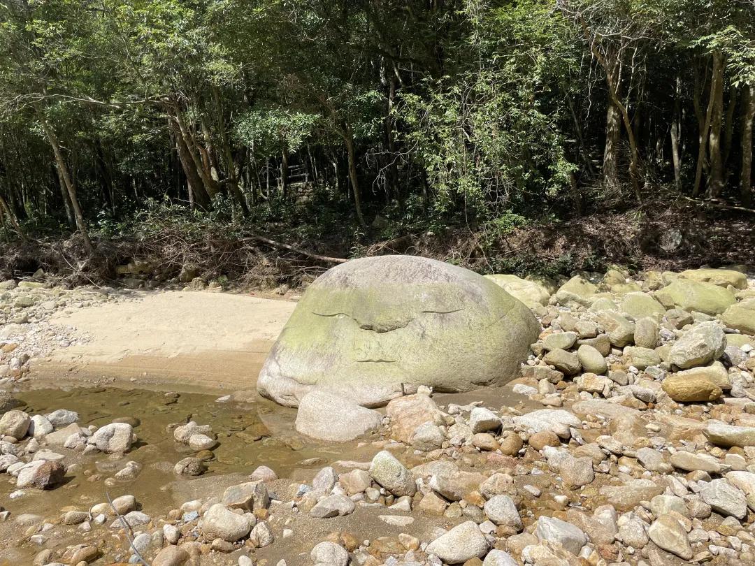 姑婆山仙山真脸观景平台,姑婆山山顶真容