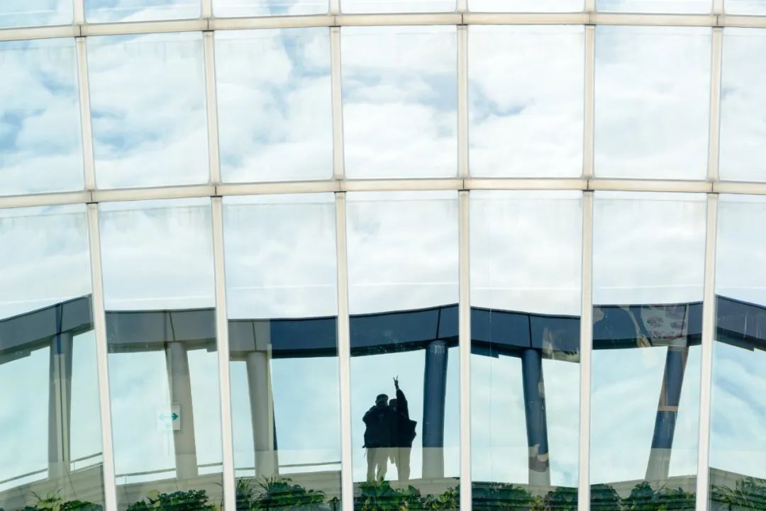 日本01年出生人口,日本01假面骑士