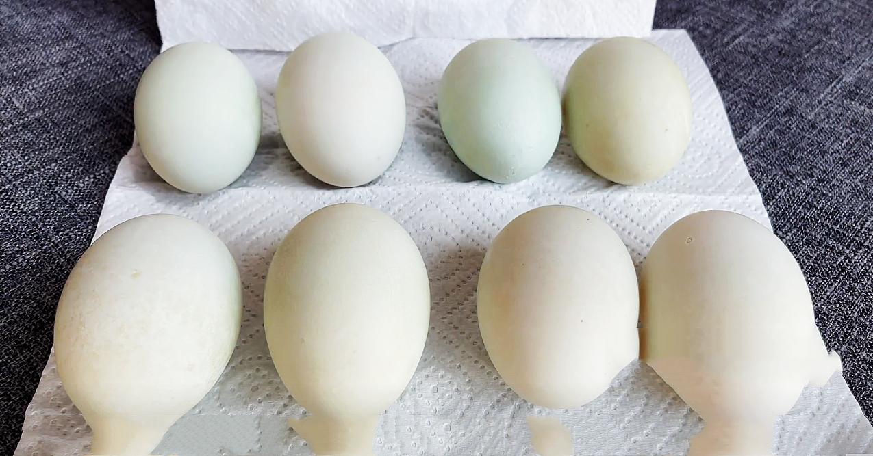 入秋后建议孩子常吃6道高钙菜,吃什么菜对宝宝有钙吸收