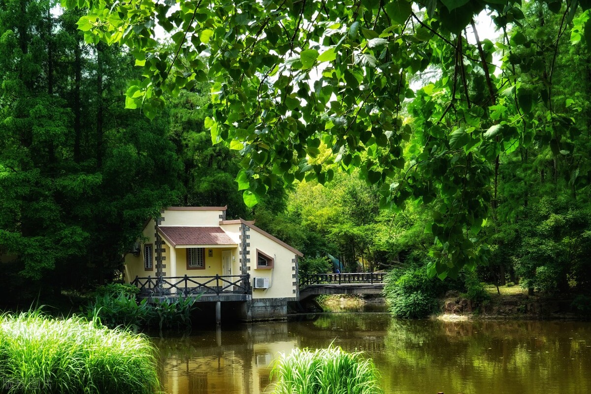 上海踏青2022,上海踏青最佳景点2021