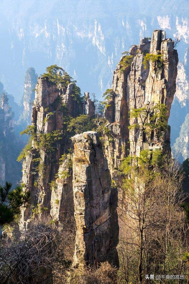 散文｜李沛新：瘦父如山