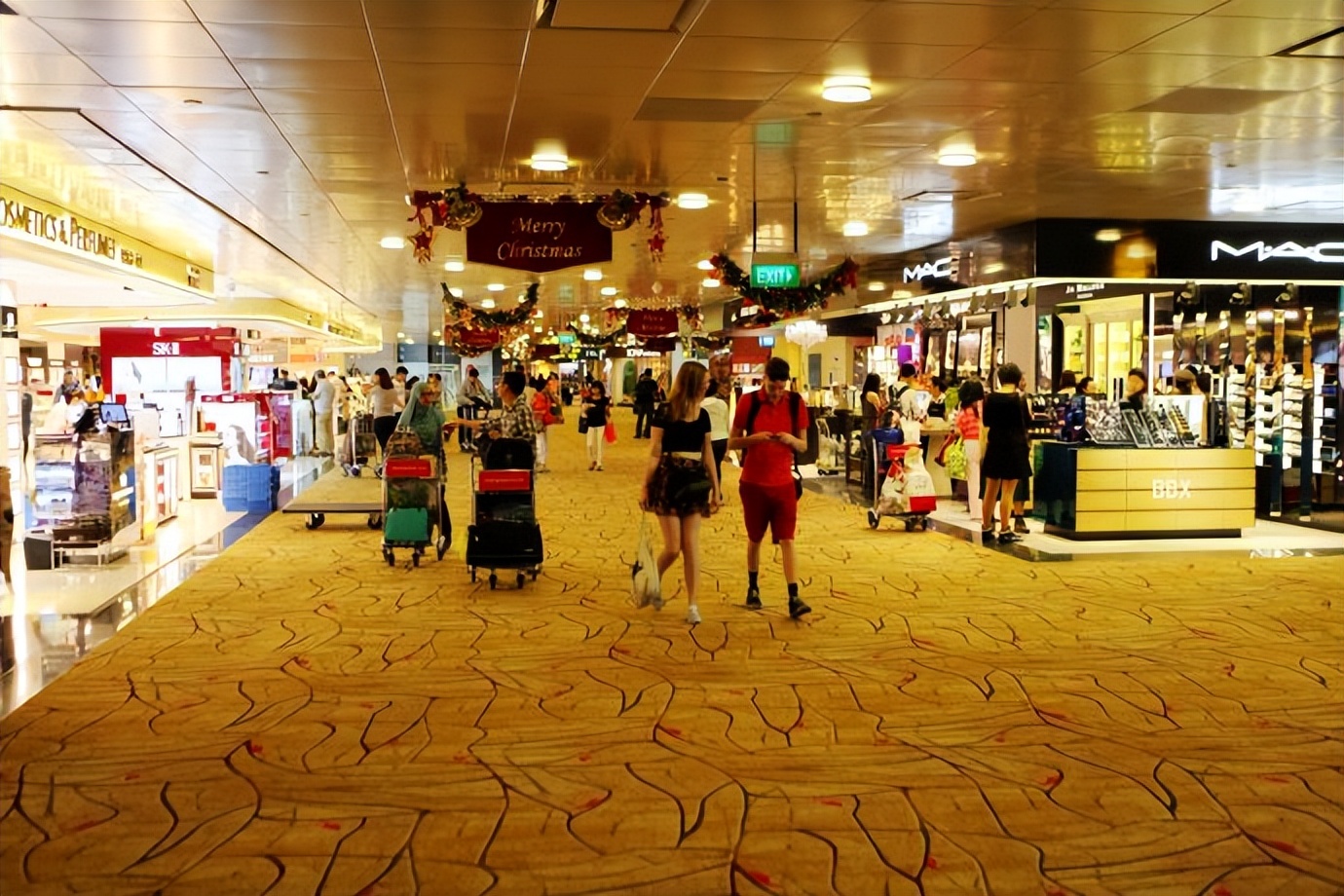 新加坡樟宜机场的仙人掌花园,新加坡最美机场在哪个航站楼