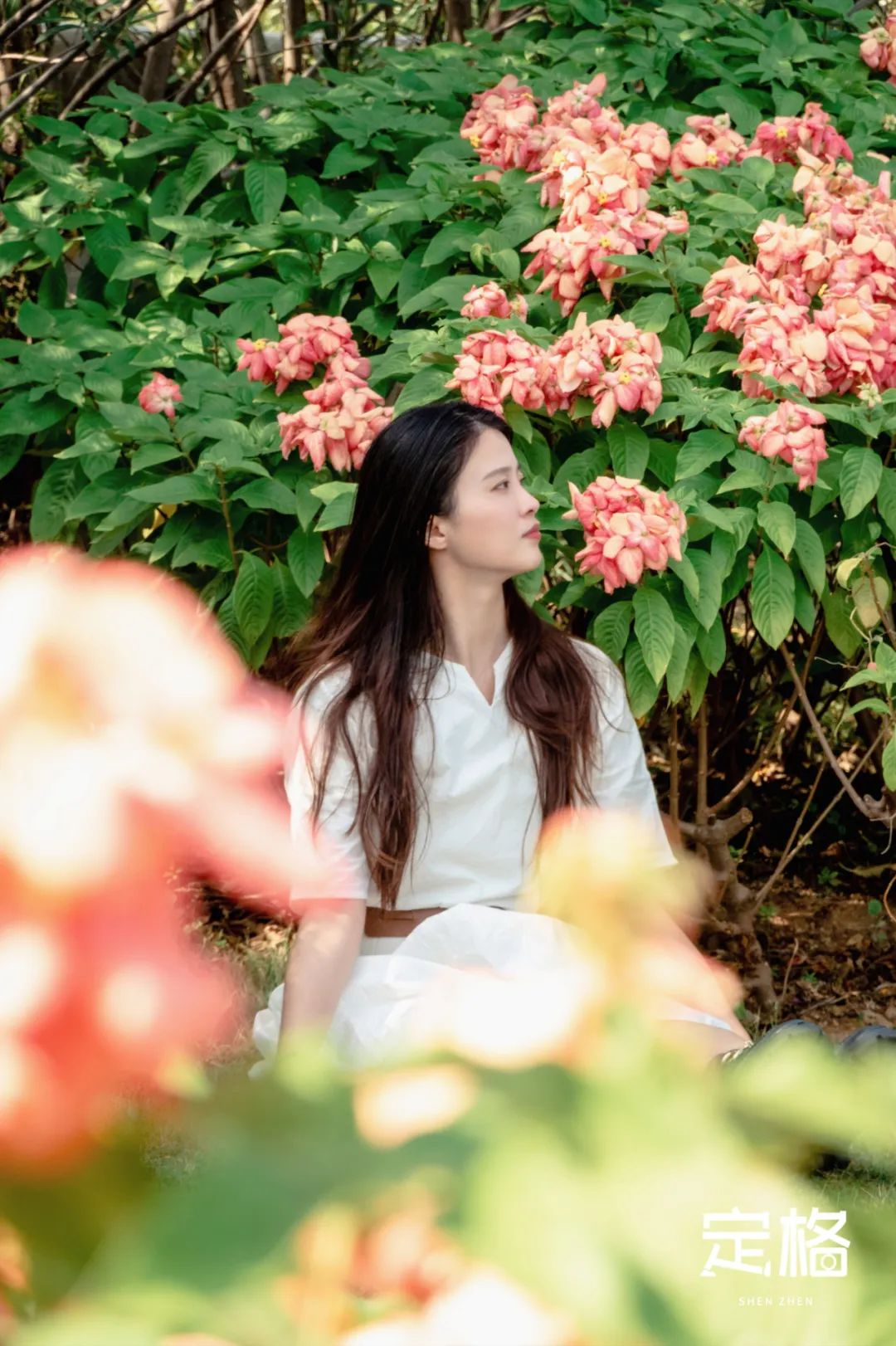 深圳湾流花山花海,深圳蝴蝶谷花海图片