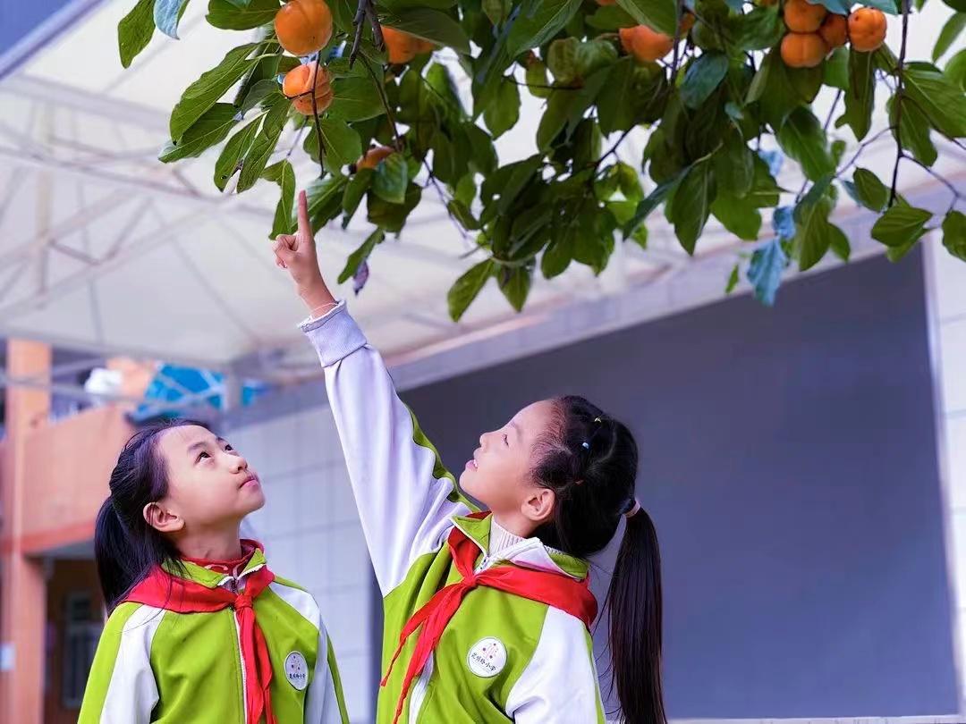 西安市雁塔区课后服务方案,给学校双减及课后服务工作的建议