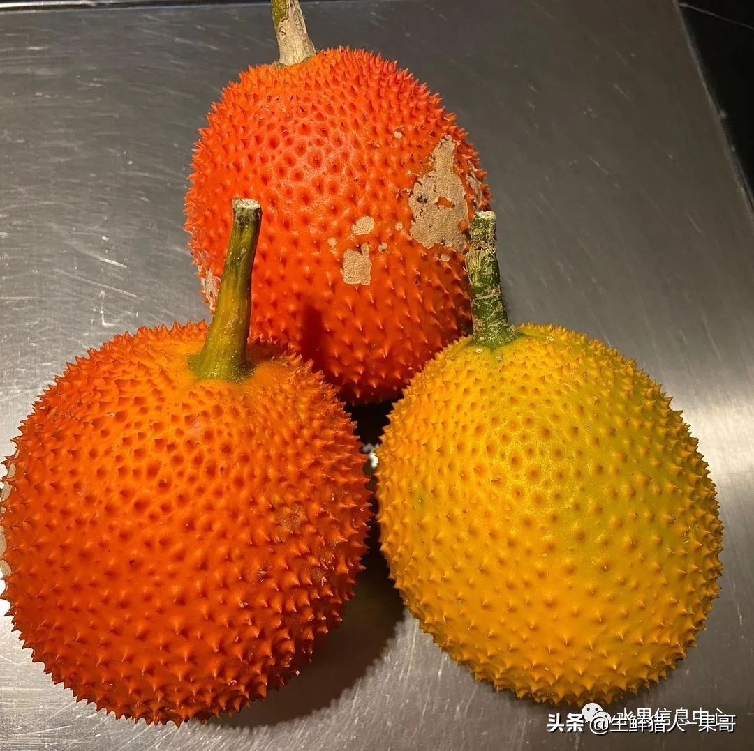 #奇异水果知多少#椰柿、黄晶果、冰淇淋果、巧克力布丁果等