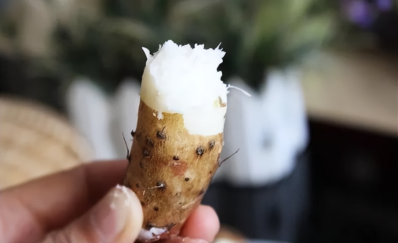 阳气生发养生方法,阳气生发最关键的一个月