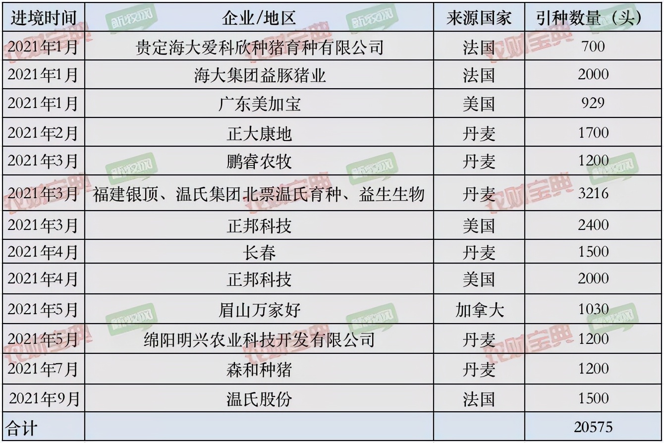 2020养猪业行情,养猪近几年行情