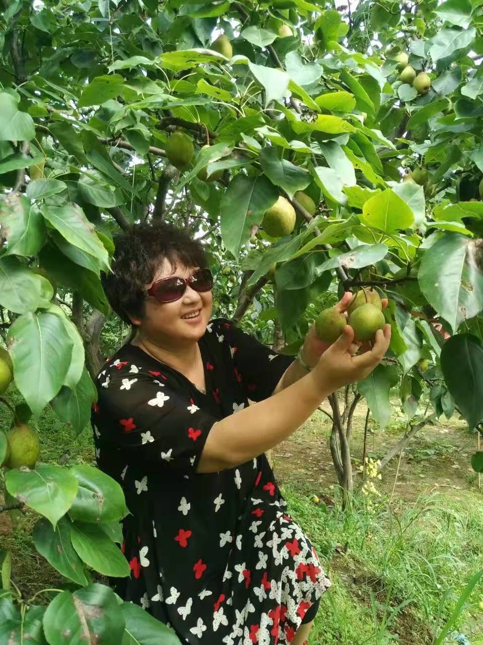 兔养殖带动脱贫攻坚,30万只肉兔养殖助力脱贫