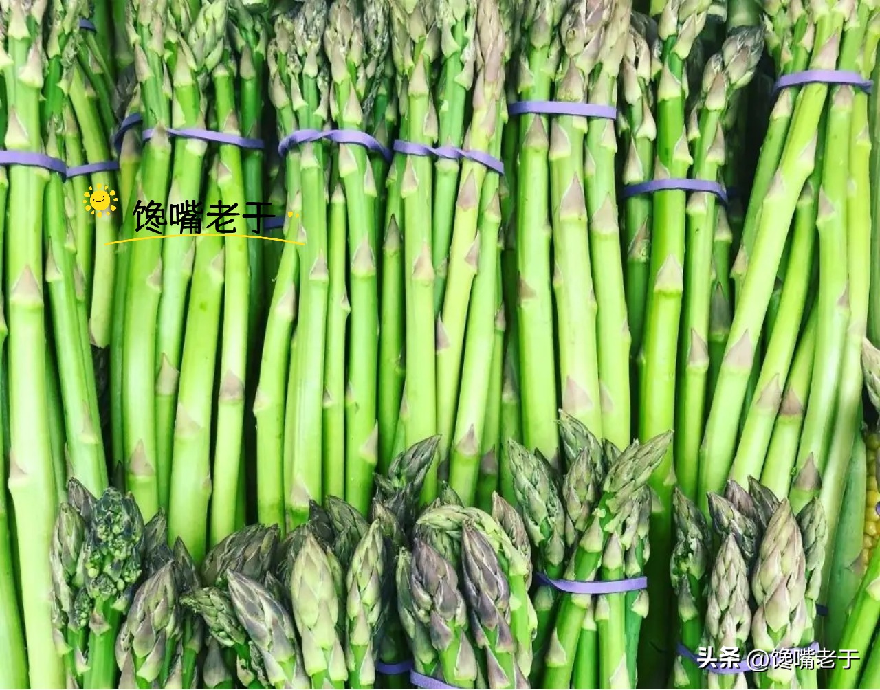 芦笋粗的还是细的好,购买芦笋绿色与白色哪种好