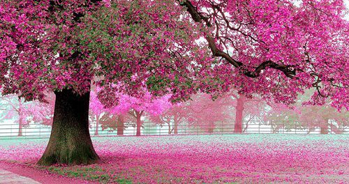 2023年出生的男孩最佳取名,2023年文雅大气的男孩取名