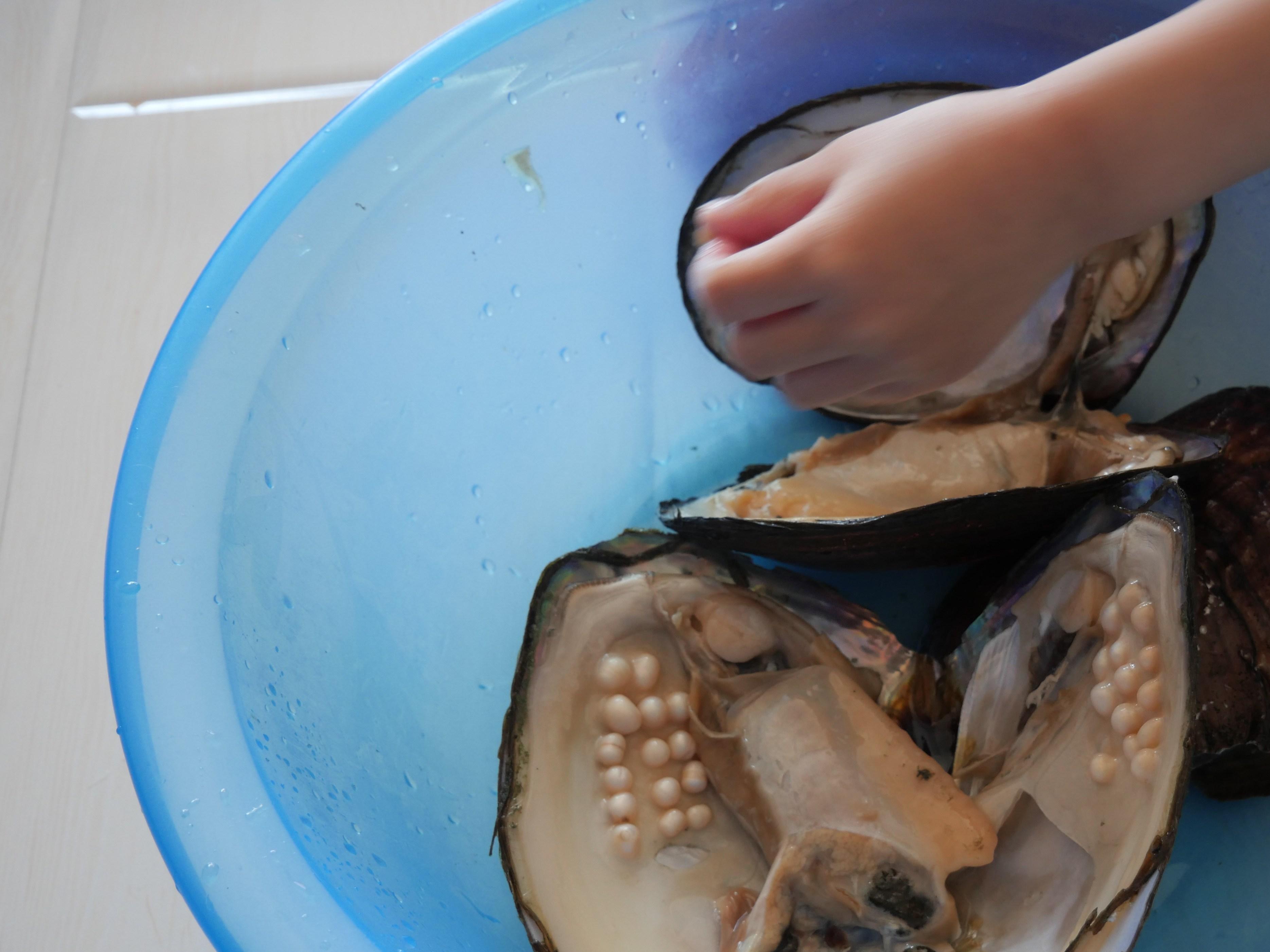 做口红的小玩具,好玩的玩具推荐少女心手工玩具