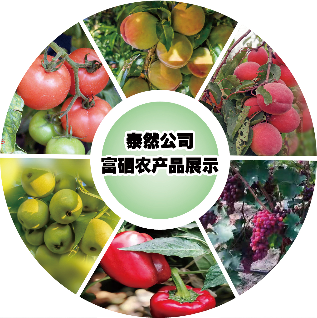 点土成金菌剂,点土成金